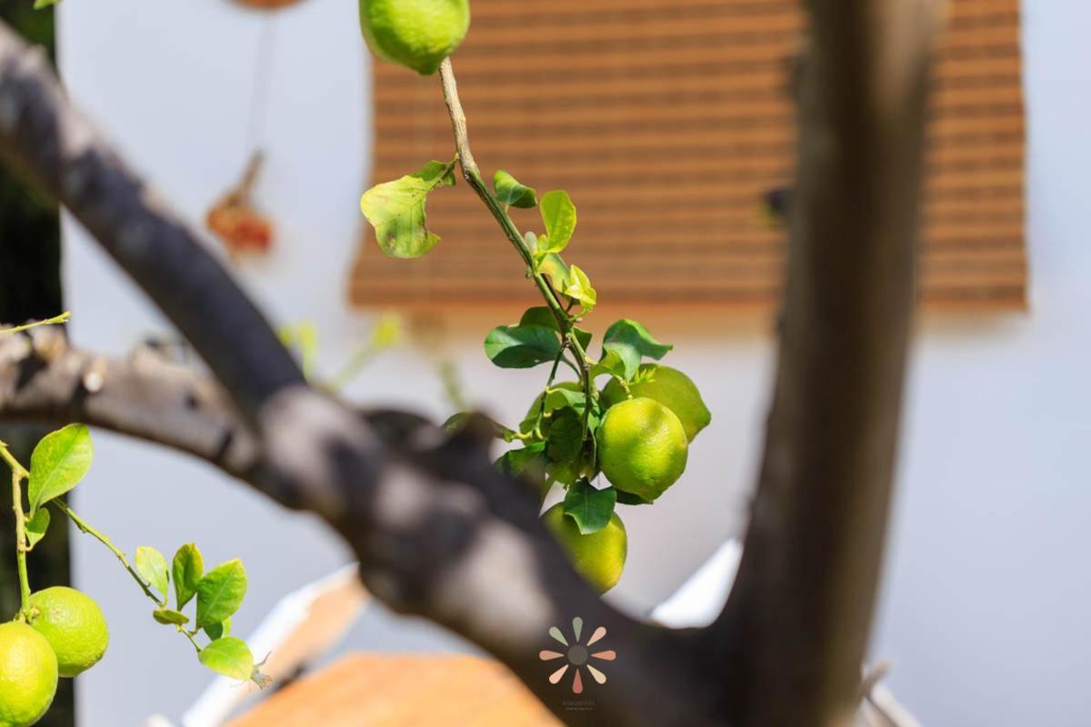 Agriturismo Tenuta Margherita Torre Lapillo Kültér fotó