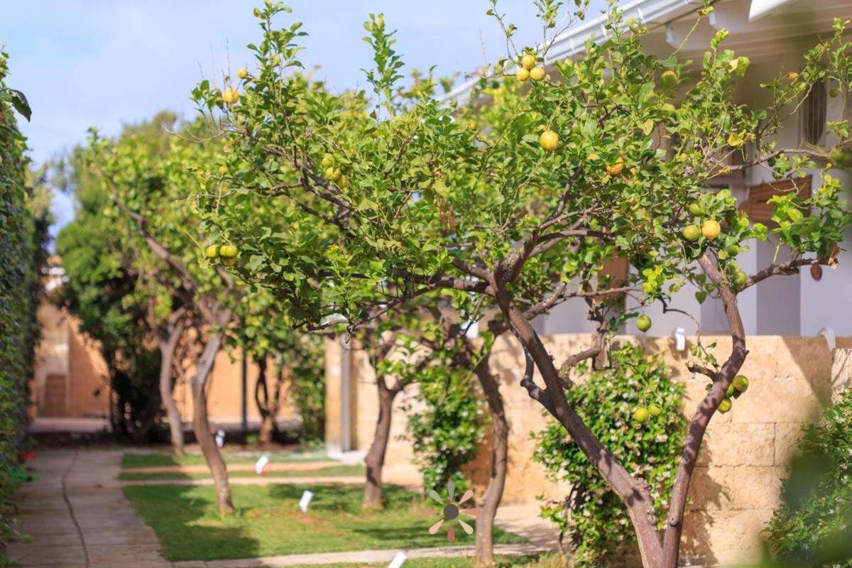 Agriturismo Tenuta Margherita Torre Lapillo Kültér fotó